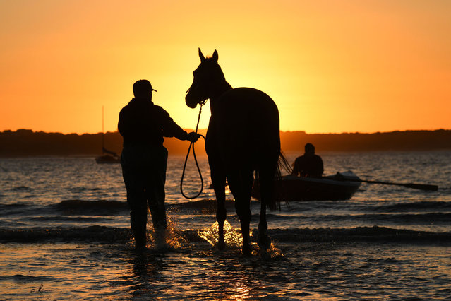 General view of Matthew Williams racing during a trackwork session at Lady Bay beach on May 03, 2022 in Warrnambool, Australia. (Photo by Vince Caligiuri/Getty Images)