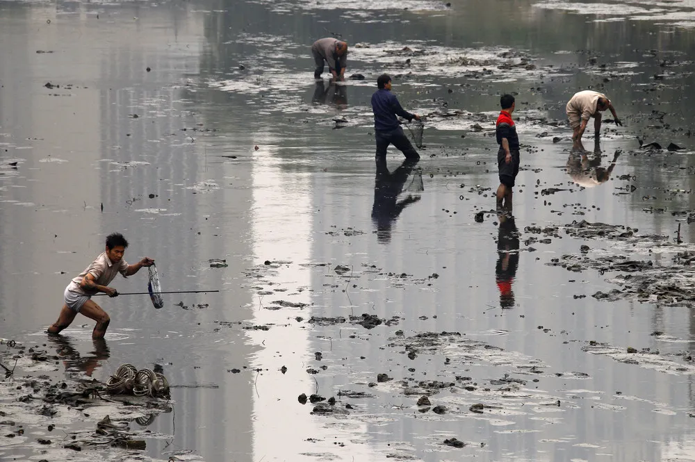 Water Pollution in China