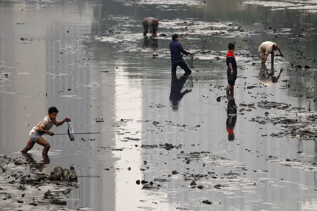 Fishermen walk through the muddy bottom of a polluted canal collecting fish in central Beijing October 21, 2010. The canal has been drained for cleaning, enabling fishermen and local residents to collect the small fish from the thick, black mud lining the bottom of the canal. Earlier this year, data from China's environment watchdog, the Ministry of Environmental Protection, showed almost a quarter of China's surface water remains so polluted that it is unfit even for industrial use, while less than half of total supplies are drinkable. (Photo by David Gray/Reuters)