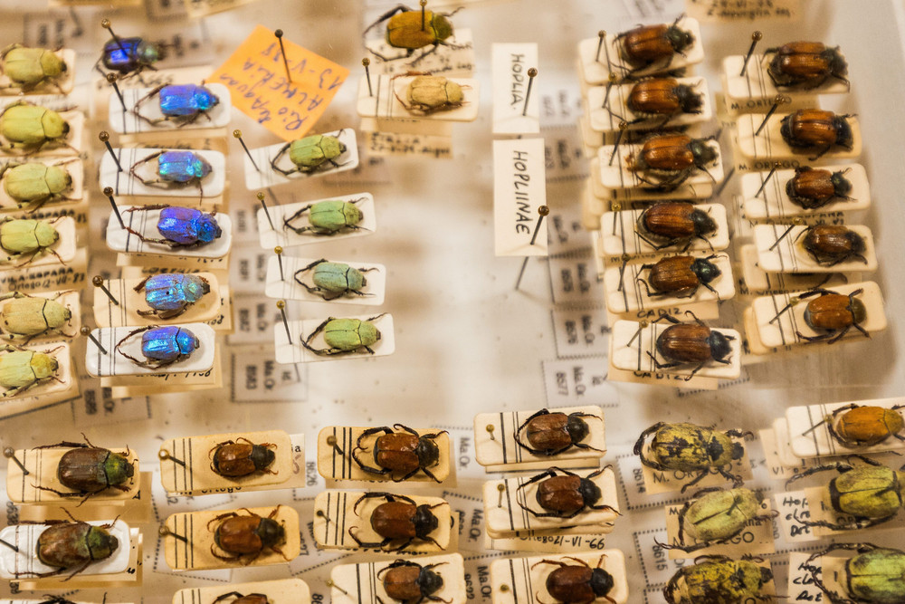 Pictures of the Year 2023, Part 167/224