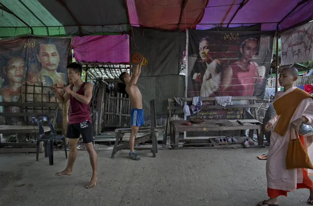 In this Wednesday, July 15, 2015, photo, a Buddhist nun walks to collect alms as a member of the White New Blood lethwei fighters club, a Myanmar traditional martial-arts club which practices a rough form of kickboxing, lifts-weights as another punches the air in their gym on a street in Oakalarpa, north of Yangon, Myanmar. (Photo by Gemunu Amarasinghe/AP Photo)