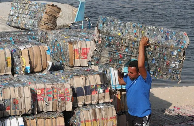 An Egyptian volunteer carries a sack with plastic waste to build a Plastic Pyramid in Giza, Egypt, 15 September 2022. The VeryNile NGO is building the largest plastic pyramid in the world, weighing 7,500 kg and made of plastic bottles collected by fishermen from the Nile River. The initiative aims to raise awareness of plastic pollution in the Nile and to clean Nile River's waters and increase awareness for environmental preservation through partnerships with volunteers, fishermen and green initiatives. (Photo by Khaled Elfiqi/EPA/EFE)
