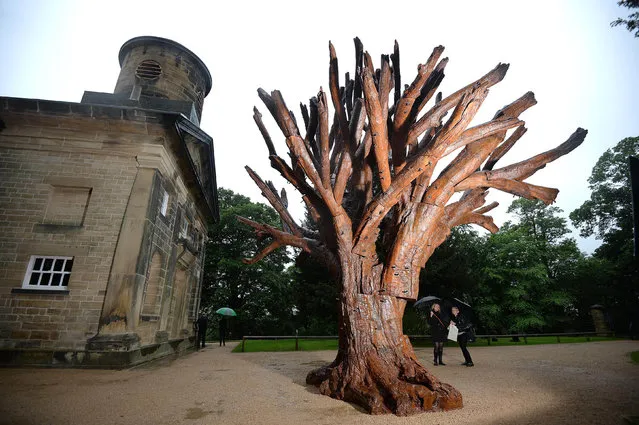 “Iron Tree”, a sculpture by Chinese artist Ai Weiwei is seen displayed in a courtyard of the chapel at the Yorkshire Sculpture Park in Wakefield, northern England May 23, 2014. (Photo by Nigel Roddis/Reuters)