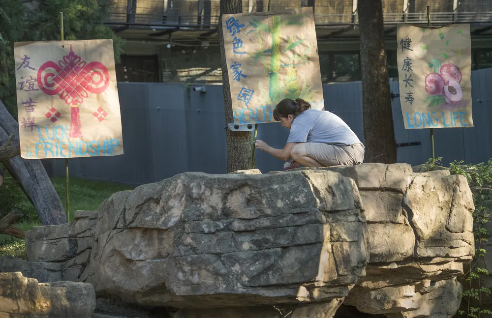 Bei Bei Celebrates First Birthday