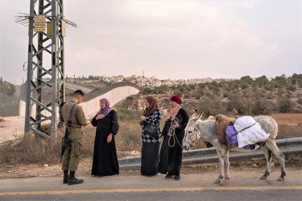 Palestinians Daily Life