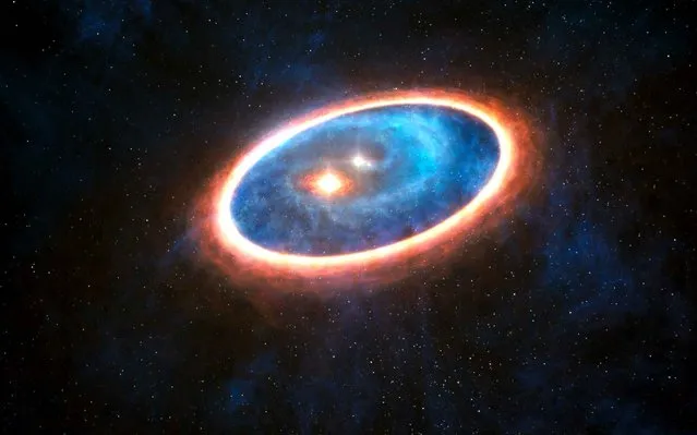 A handout photo released on October 27, 2014 by the European Southern Observatory shows an artist’s impression depicting the dust and gas around the double star system GG Tauri-A. Researchers using ALMA have detected gas in the region between two discs in this binary system. This may allow planets to form in the gravitationally perturbed environment of the binary. (Photo by L. Calçada/AFP Photo/European Southern Observatory)