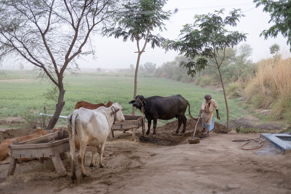 A Look at Life in Pakistan
