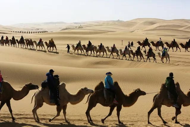 Tourists ride camels at the Whistling Dune Bay, a desert resort, on the third day of the National Day and Mid-Autumn Festival holiday on October 3, 2020 in Ordos, Inner Mongolia Autonomous Region of China. (Photo by Zhao Yongchun/VCG via Getty Images)