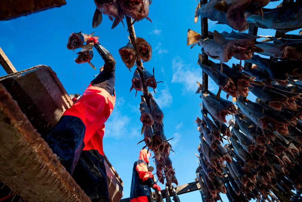 The Day in Photos – March 11, 2018