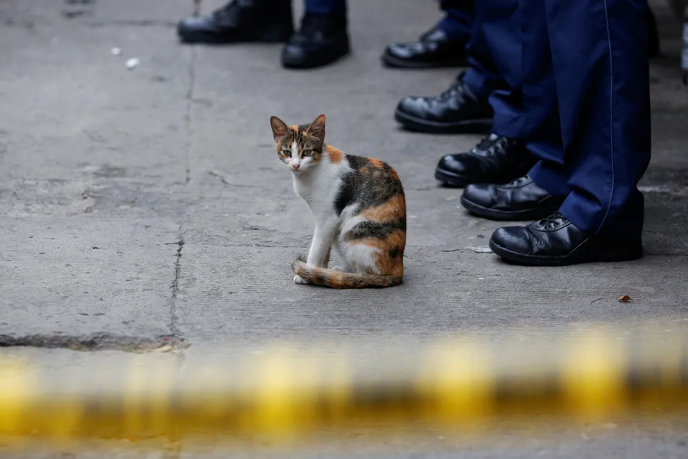 Escalating Violence in the Philippines