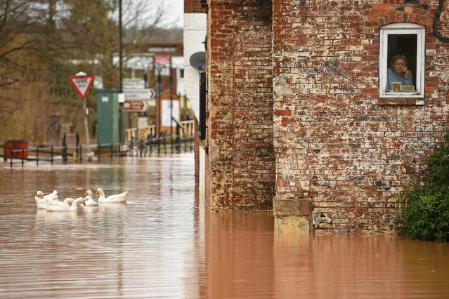 A woman looks out of her window as geese swim past in floodwater after the River Severn bursts it's banks in Bewdley, west of Birmingham on February 16, 2020, after Storm Dennis caused flooding across large swathes of Britain. As Storm Dennis sweeps in, the country is bracing itself for widespread weather disruption for the second weekend in a row. Experts have warned that conditions amount to a “perfect storm”, with hundreds of homes at risk of flooding. (Photo by Oli Scarff/AFP Photo)