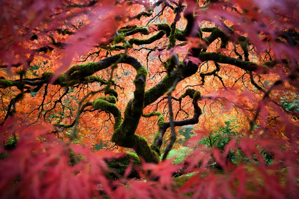 ALL 2012 National Geographic Traveler Photo Contest – in HIGH RESOLUTION. Part I: “Outdoor Scenes” – Weeks 7-14 (68 Photos)