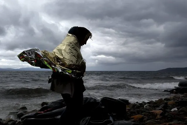 An Afghan migrant covered by a foil blanket walks after arriving on the beach by raft during a rainstorm on the Greek island of Lesbos October 24, 2015. (Photo by Yannis Behrakis/Reuters)