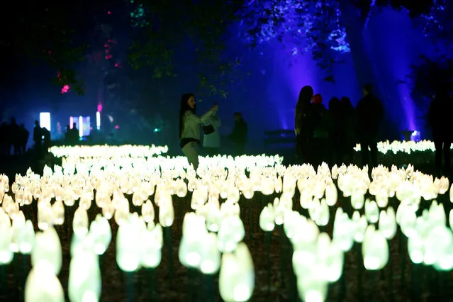 Visitors walk through “Flower Power” which is part of the exhibit “Enchanted: Forest of Light” at Descanso Gardens in La Canada Flintridge, California U.S., December 9, 2016. (Photo by Mario Anzuoni/Reuters)