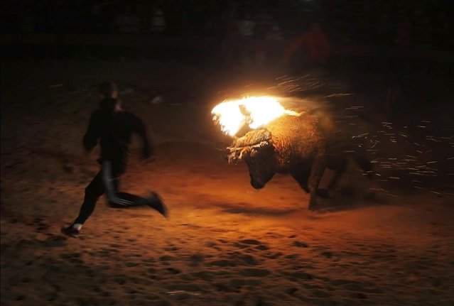 A fire bull chases a reveler during the “Toro de Jubilo” Fire Bull Festival in Medinaceli, Spain, Sunday, November 10, 2013,. Fire bull Festival “Toro de Jubilo” that takes place in the main square of Medinaceli is an ancient tradition from the bronze age. During the event a bull is tied to a pylon and flammable balls attached to the bull's horns are set on fire before the animal released. Revelers dodge the bull when it comes close until the flammable material is consumed. The bull is covered with a thick layer of mud on the back and face to protect it from burns. (Photo by Andres Kudacki/AP Photo)