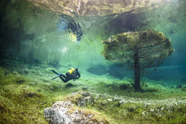 A diver in the flood water. Green Lake in Tragoess, Austria. (Photo by Solnet/The Grosby Group)