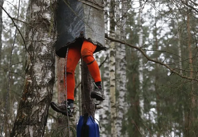 Belarusian cave explorer takes part in an competition of speleologists in the forest near village of Raubichi, on the outskirts of Minsk, Belarus, Saturday, April 4, 2015. (Photo by Sergei Grits/AP Photo)