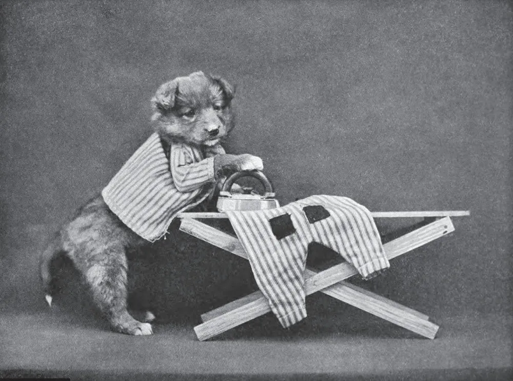 The Extraordinary World of Harry Whittier Frees (UPDATED)