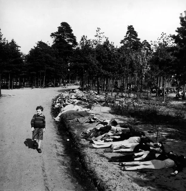 Young boy dressed in shorts walks along a dirt road lined with the corpses of hundreds of prisoners who died at the Bergen-Belsen extermination camp, near the towns of Bergen and Celle, Germany, April 20, 1945. (Photo by George Rodger/The LIFE Picture Collection/Getty Images)