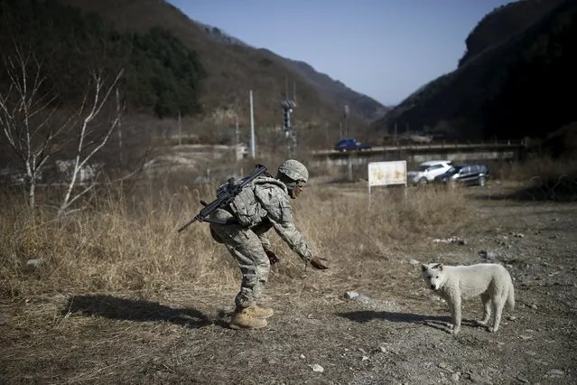 A U.S. army soldier reaches for a stray dog after a live-fire training exercise of the 6-37th Field Artillery Regiment at a training area near the demilitarized zone separating the two Koreas, in Cheorwon, South Korea, March 9, 2016. (Photo by Kim Hong-Ji/Reuters)