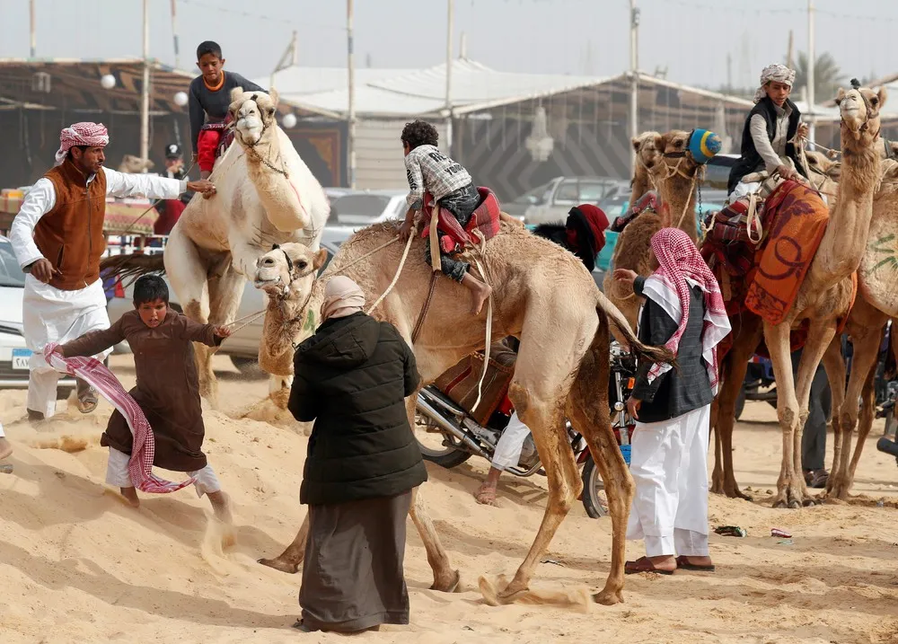 Child Jockeys Race Camels in Egypt