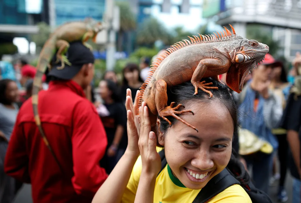 A Look at Life in Indonesia