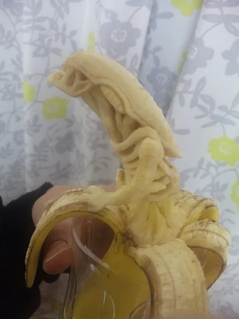 Japanese Banana Art By Keisuke Yamada