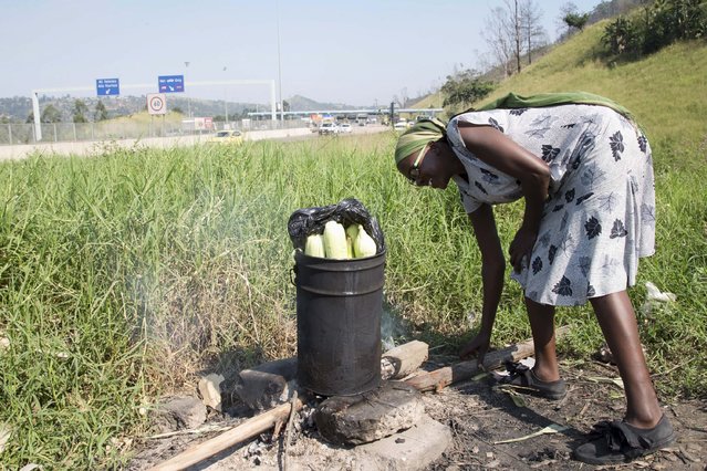 A trader sells mealies to passing motorists on the side of the N3 highway at Pinetown, South Africa, April 19, 2016, as food prices continue to rise due to drought conditions. (Photo by Rogan Ward/Reuters)