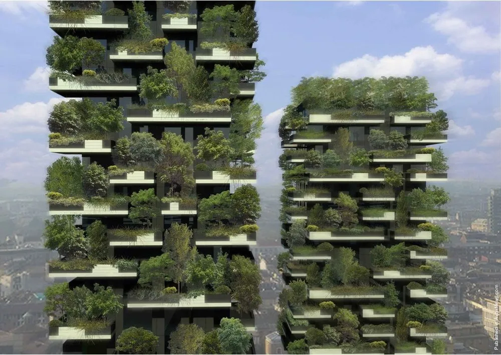 The World's First “Forest In The Sky”