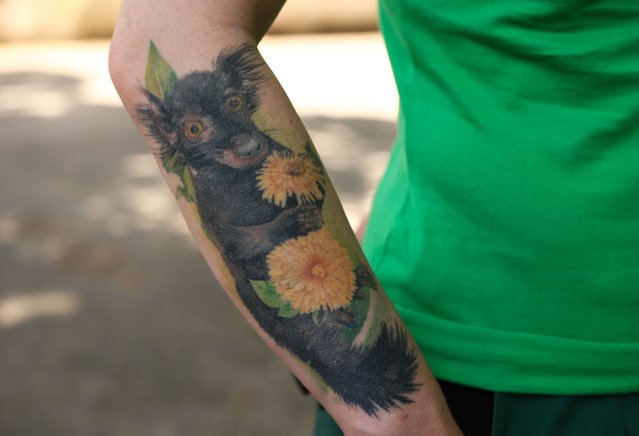 Zookeeper of black lemurs Laura Turadek shows off a tattoo of a black lemur on her arm during an interview at the zoo in Warsaw, Poland on May 28, 2024. (Photo by Kacper Pempel/Reuters)