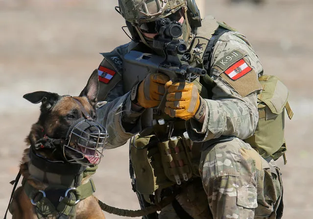 A Member of Austrian special operations unit Jagdkommando performs an exercise in Wiener Neustadt, Austria, March 31, 2017. (Photo by Heinz-Peter Bader/Reuters)