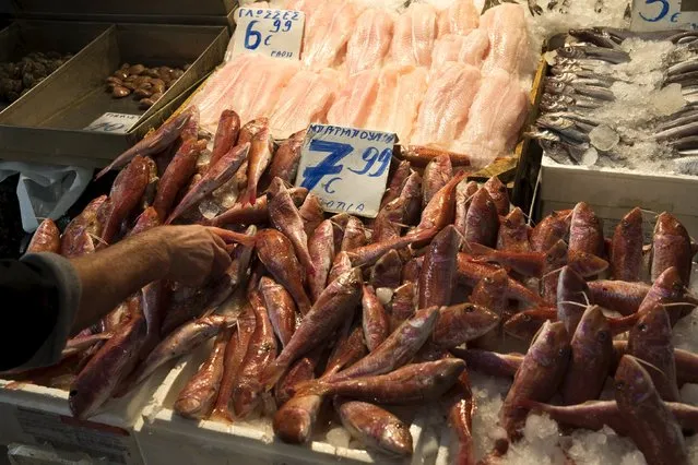 A fishmonger arranges fish on his stall inside Athens' main fish market July 25, 2015. The International Monetary Fund said on Friday it had received a letter from Greece seeking a loan facility. Greece is due to begin talks with European Union and IMF lenders on a new bailout deal. (Photo by Ronen Zvulun/Reuters)