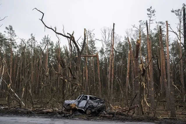The gutted remains of a car in front of damaged trees following a battle between Russia and Ukrainian forces on the outskirts of Chernihiv, Ukraine, Friday, April 22, 2022. (Photo by Petros Giannakouris/AP Photo)