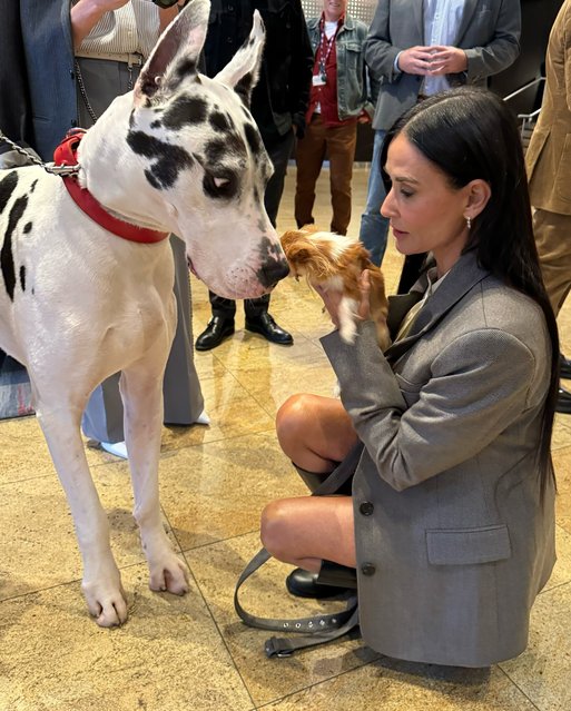 American actress Demi Moore in the first decade of September 2024 introduces her dog Pilaf to a friend. (Photo by demimoore/Instagram)