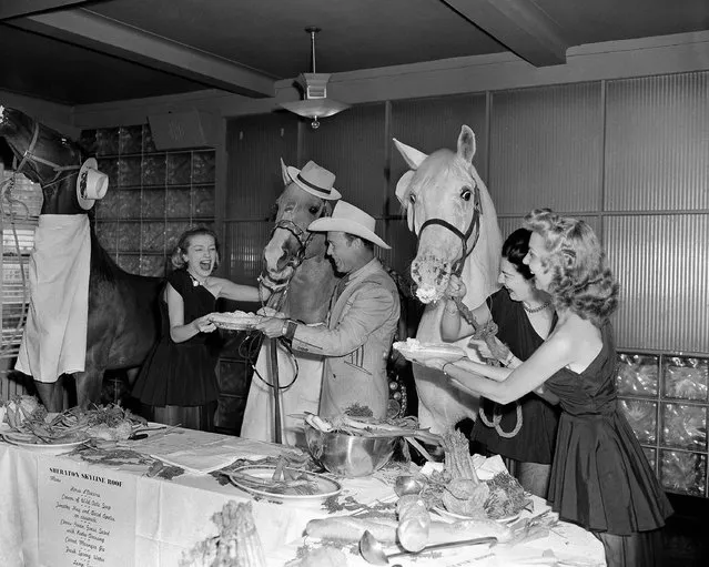 Carrot cream pie is the dessert as movie horses Flicka, Trigger, and Thunderhead dine at the Hotel Sheraton in New York on June 15, 1947. Trigger, in New York for the rodeo his pal, Roy Rogers, is putting on at the Polo Grounds, played host to his friends of the Hollywood horsey set. Florence McIlvaine, left, and Clare Trzaka feed Flicka, while Mimi Bojack and Roy Rogers serve Trigger. Thunderhead, in background, neighs his approval of the dessert. (Photo by Joe Caneva/AP Photo)