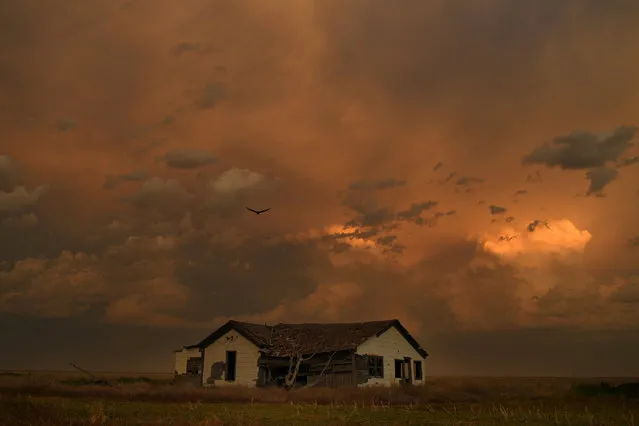 The sun sets over the ruin of a farm house in Baca County on June 20, 2017 in Lycan, Colorado. Baca County peaked in 1930, then lost two-thirds of its population. (Photo by RJ Sangosti/The Denver Post)