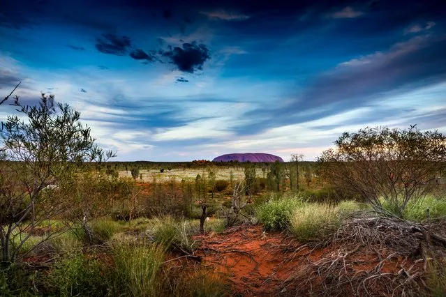 “Field of Light Uluru is the British artist Bruce Munro’s latest light installation, with more than 50,000 light stems. The frosted-glass spheres bloom as darkness falls over Australia’s spiritual heartland”. (Photo by Pepe Escuredo/The Guardian)