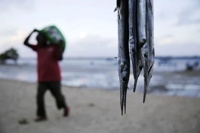 A fisherman walks, left, with his catch as needlefish hang at right at the Shimoni port, in Kwale county, Kenya, on Saturday, June 11, 2022. Artisanal fisheries on Kenya's coast say climate change, overfishing by large foreign vessels and a lack of other job opportunities for coastal communities is draining the Indian Ocean of its yellowfin tuna stocks. (Photo by Brian Inganga/AP Photo)