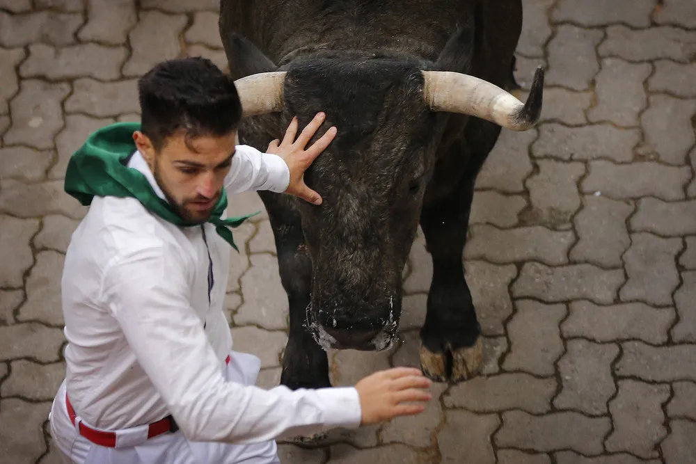 The Day in Photos – July 10, 2016