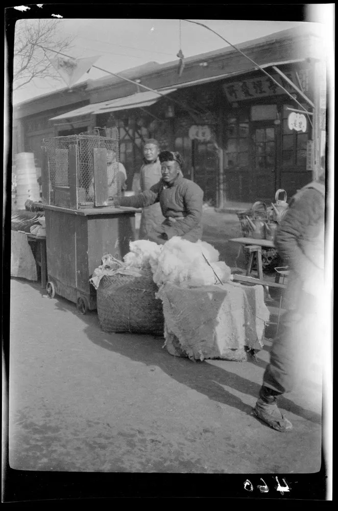 China 1917–1919 by Sidney David Gamble