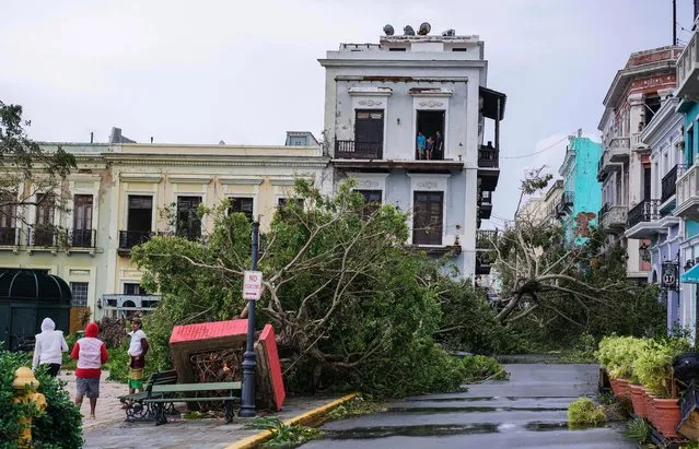 Plaza Colon is covered in fallen trees after Hurricane Maria at Old San Juan in San Juan, Puerto Rico on September 20, 2017. (Photo by Pablo Pantoja/Anadolu Agency/Getty Images)