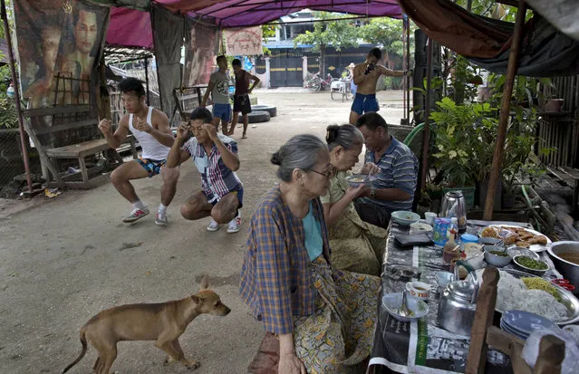 In this Wednesday, July 15, 2015, photo, members of the White New Blood lethwei fighters club, a Myanmar traditional martial-arts club which practices a rough form of kickboxing, warm up in their gym on a street as customers eat a meal at a roadside noodles shop in Oakalarpa, north of Yangon, Myanmar. (Photo by Gemunu Amarasinghe/AP Photo)