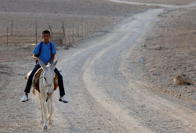 A Palestinian student rides a donkey on his way to the school on first day of new school year in Masafer Yatta near Hebron, in the Israeli-occupied West Bank, August 29, 2022. (Photo by Mussa Qawasma/Reuters)