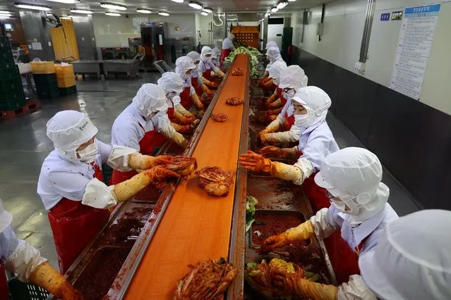 Employees work at Cheongone Organic Kimchi factory in Cheongju, South Korea on September 26, 2022. (Photo by Kim Hong-Ji/Reuters)