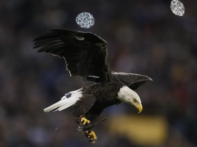 An eagle flies during the national anthem before an NFL football game between the Green Bay Packers and the Detroit Lions Monday, November 6, 2017, in Green Bay, Wis. (Photo by Matt Ludtke/AP Photo)