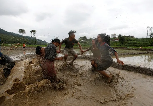 People play in the mud as they plant rice saplings during National Paddy Day also called Asar Pandra, that marks the commencement of rice crop planting in paddy fields as monsoon season arrives, in Kathmandu, Nepal, June 29, 2020. (Photo by Navesh Chitrakar/Reuters)