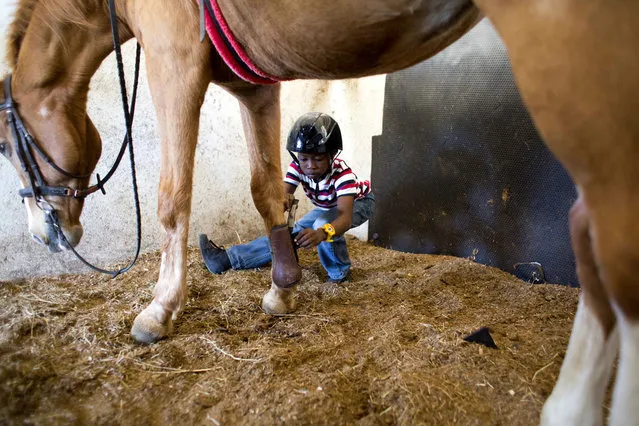 Judeley Hans Debel squats down to remove a boot from Tic Tac, holding out his prosthetic leg after his therapeutic riding lesson at the Chateaublond Equestrian Center in Petion-Ville, Haiti, Saturday, January 7, 2017. Anne-Rose Schoen, who founded the equestrian center, said perhaps the most important thing about therapeutic riding is it makes youngsters happy in a country where disabled people face enormous challenges. (Photo by Dieu Nalio Chery/AP Photo)
