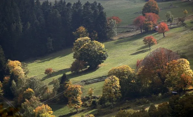 Late autumn colours marking a change in season are seen in the Vosges mountains in the Alsace region, Eastern France, October 11, 2015. (Photo by Jacky Naegelen/Reuters)