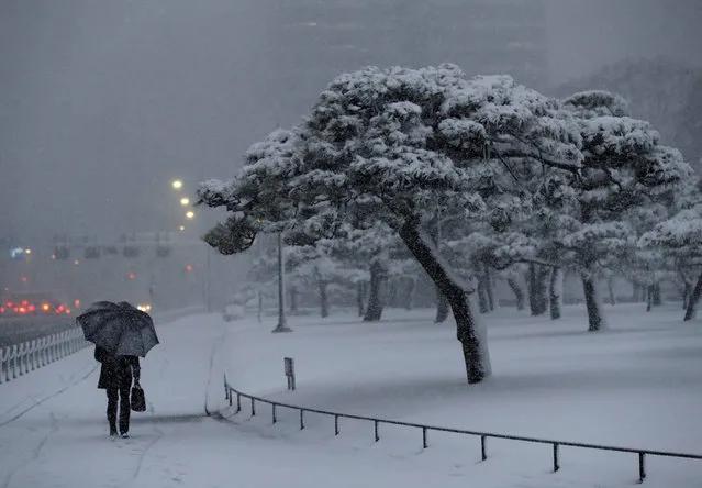 A man holding an umbrella makes his way in the heavy snow nearby the Imperial Palace in Tokyo, Japan January 22, 2018. (Photo by Kim Kyung-Hoon/Reuters)