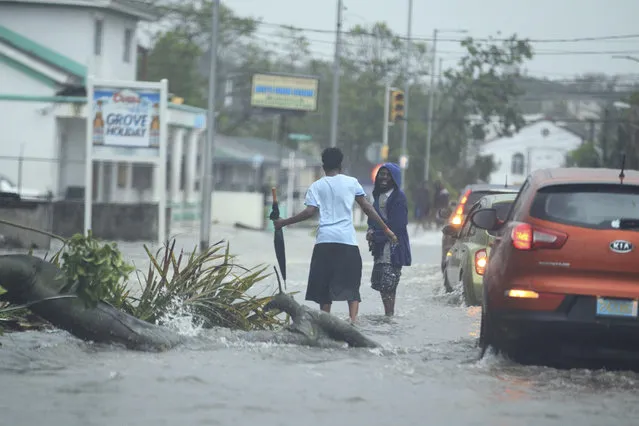 Residents and vehicles avoid a downed tree and power cable along a flooded roadway in the aftermath of Hurricane Matthew in Nassau, Bahamas, Thursday, October 6, 2016. The head of the Bahamas National Emergency Management Authority, Capt. Stephen Russell, said there were many downed trees and power lines, but no reports of casualties. (Photo by Tim Aylen/AP Photo)